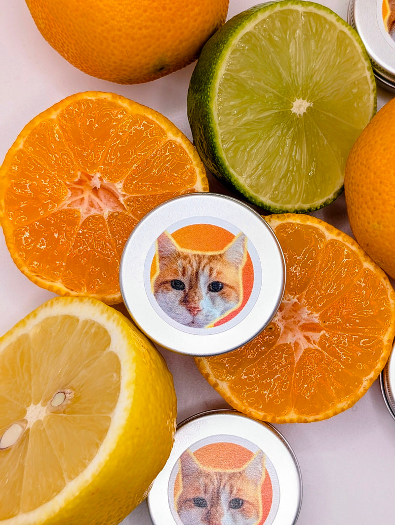Rupert Organic Lip Balm