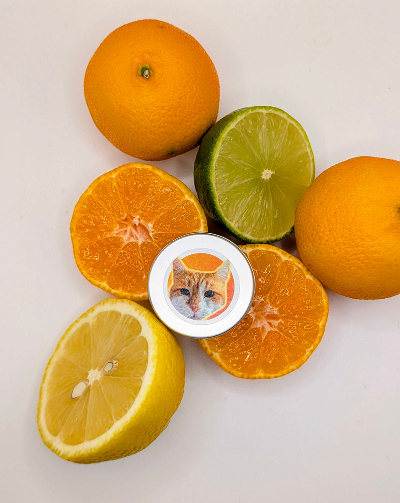 Rupert Organic Lip Balm